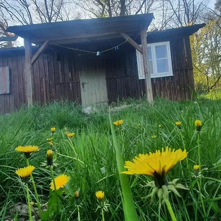 Campsite Fkk Natur And Calmness *